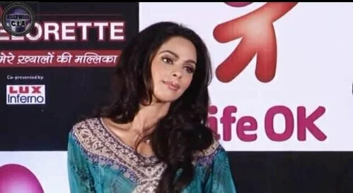 wpid mobile 24533 1385568286 4 MALLIKA SHERAWAT SMACKS DOWN REPORTER WHO TRY TO SHAME HER ACTIVISM (VIDEO)